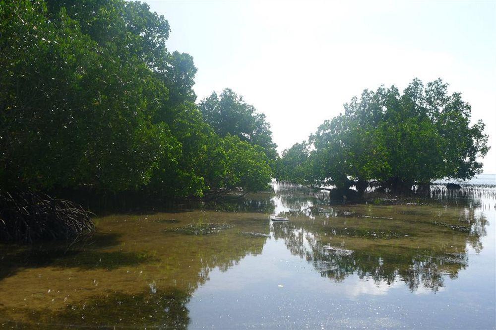 By The Bay, Jacana Bed & Breakfast Puerto Princesa ภายนอก รูปภาพ